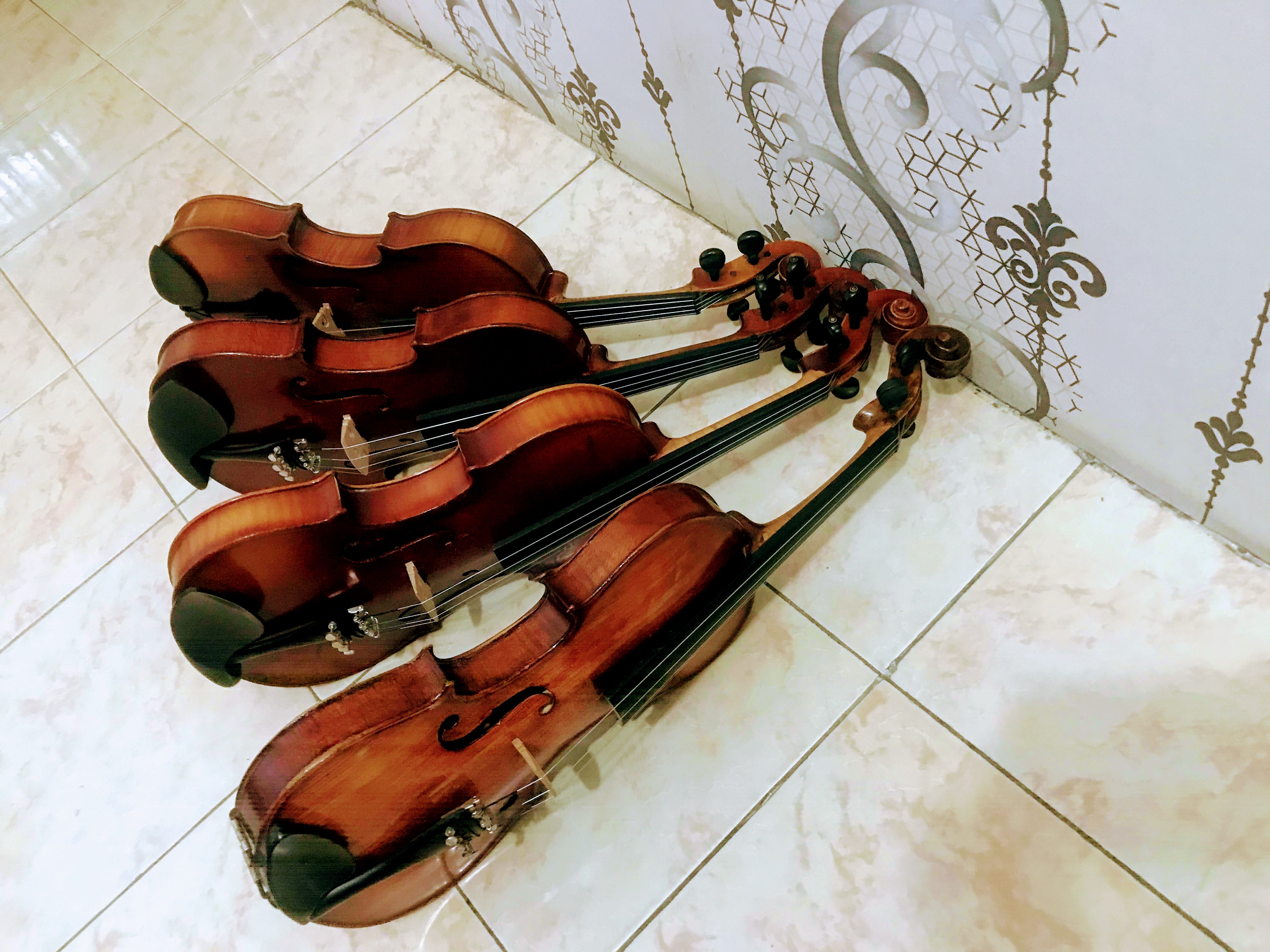 Đàn Violin Châu Âu