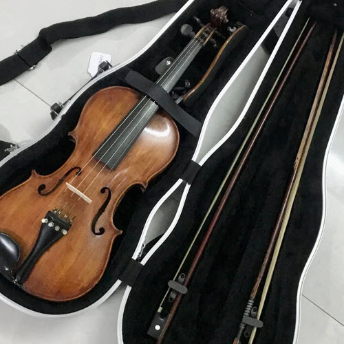 Hộp Đựng Đàn VIolin 4/4 (Violin case) Chất liệu ABS
